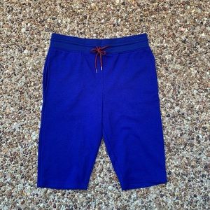 Carbon Jogger Shorts Royal Blue Size L.